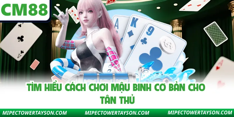 Tìm hiểu cách chơi Mậu Binh cơ bản cho tân thủ